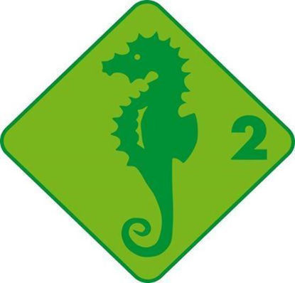 Bild von Seepferd (Ferienkurs)
