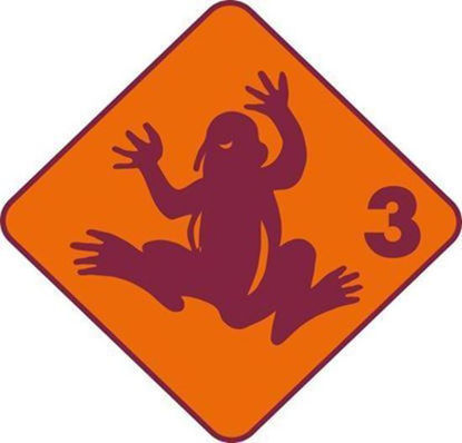 Bild von Kleingruppe Frosch (4 Wiederholungen)