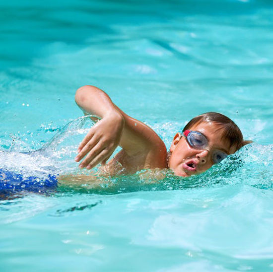 Bild von Kinderkurs Kraulschwimmen