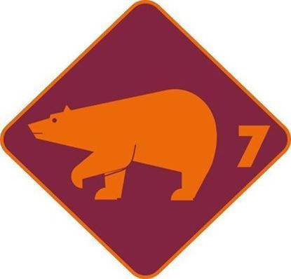 Bild von Eisbär