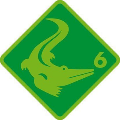 Bild von Kleingruppe Krokodil (4 Wiederholungen)