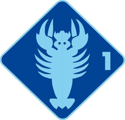 Bild von Krebs (Ferienkurs)