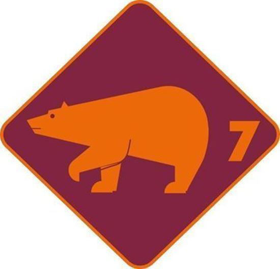 Bild von Eisbär (Ferienkurs)